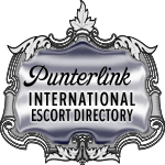 Punterlink Banner